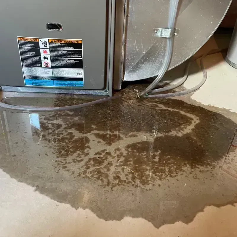 Appliance Leak Cleanup in Morton County, KS